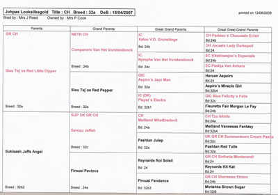Pedigree for Champion Johpas Lookslikegold